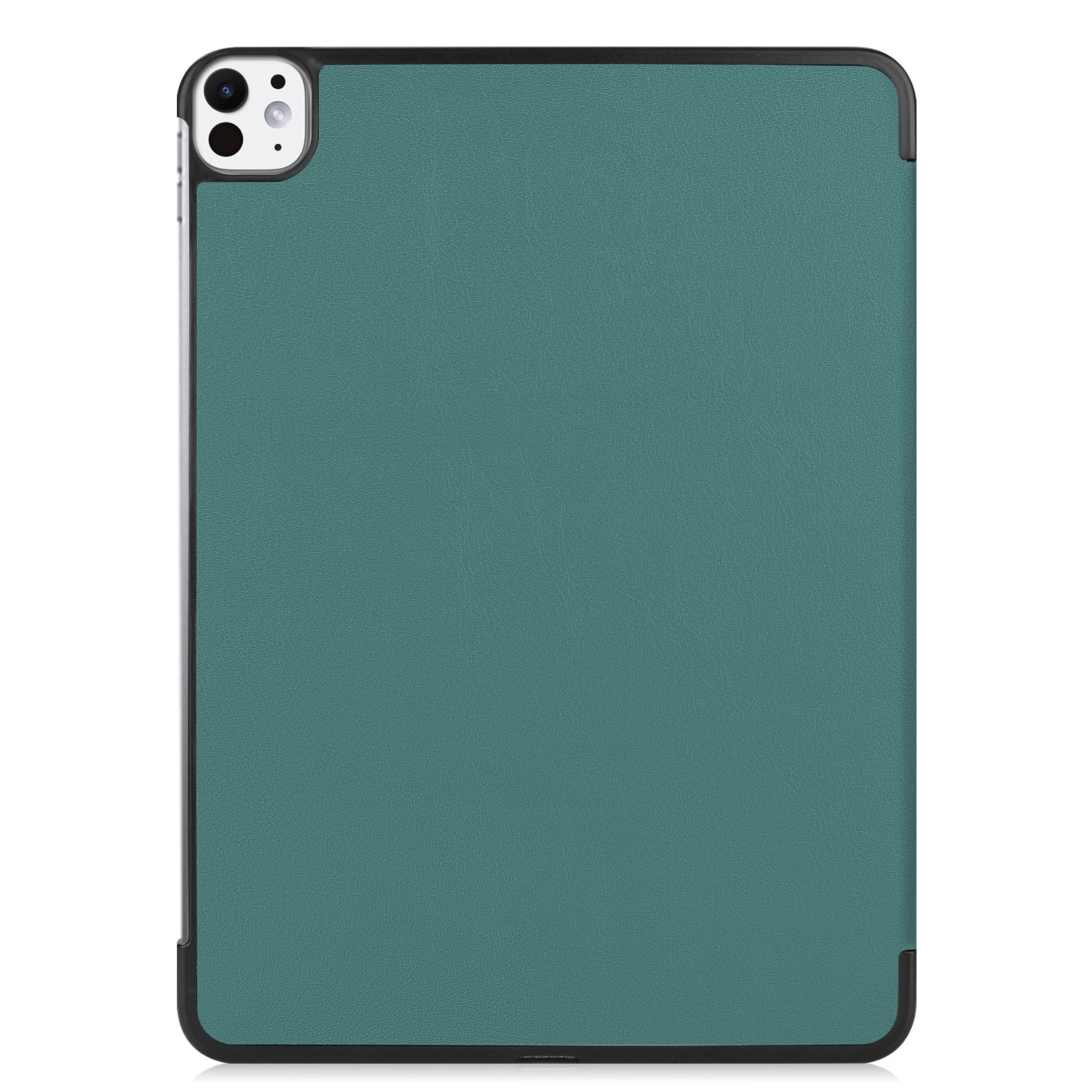 iPad Pro 11 Case (2024)