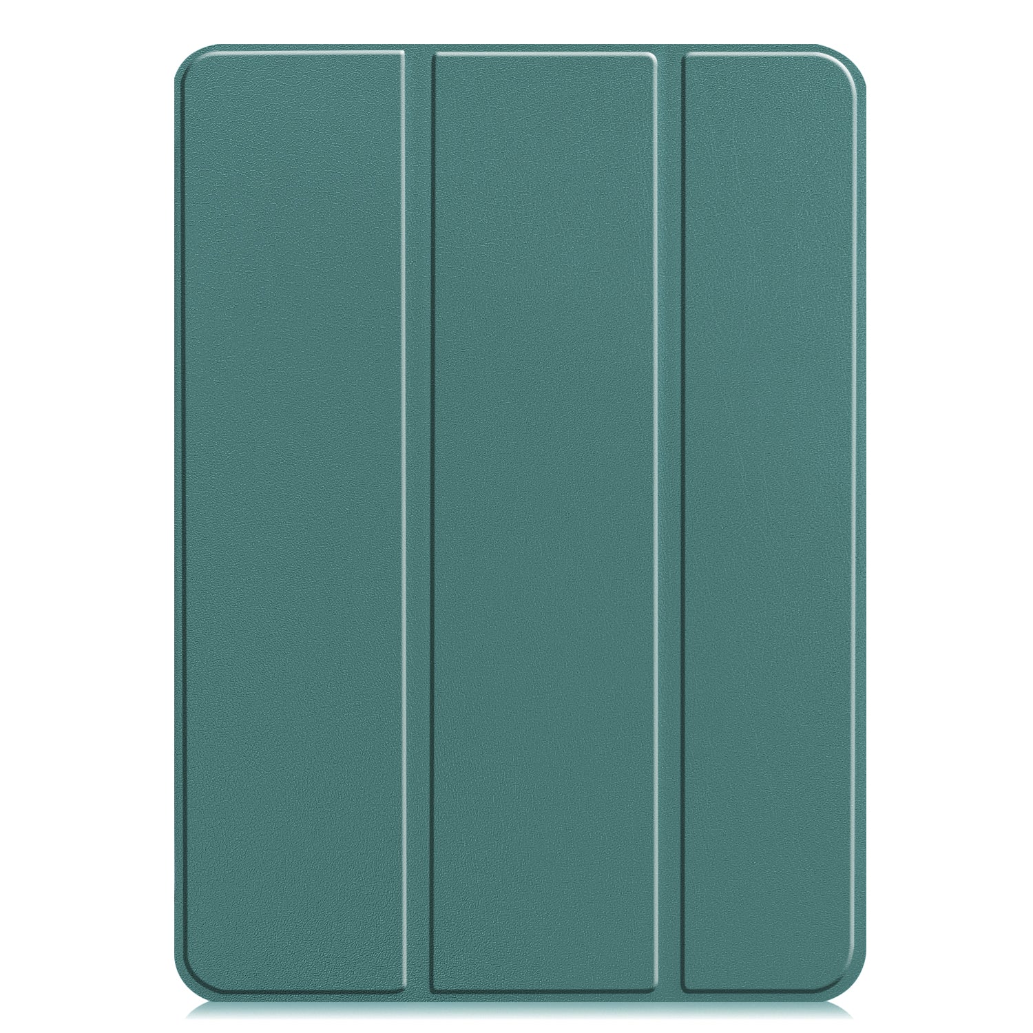 iPad Pro 11 Case (2024)