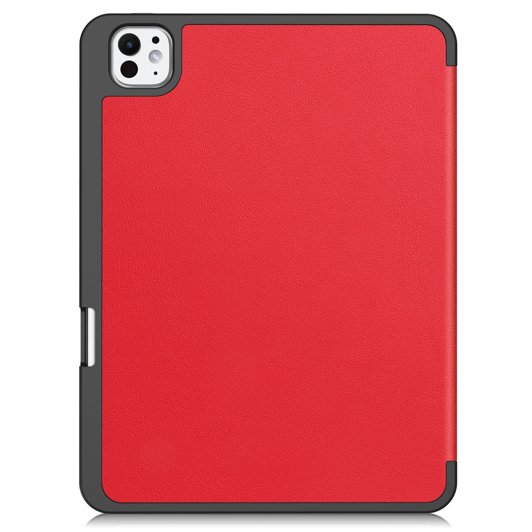 iPad Pro 11 Case (2024)