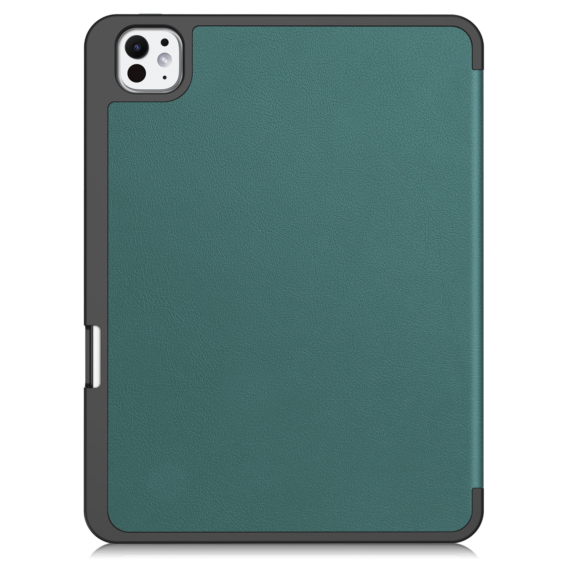 iPad Pro 11 Case (2024)